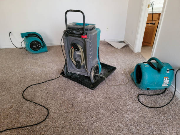 Best Emergency water damage restoration  in Mission, TX