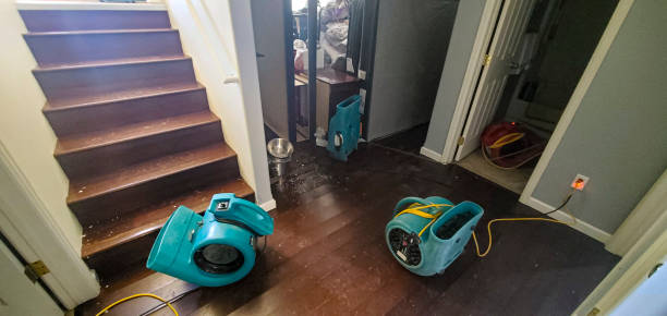 Local water damage restoration in TX