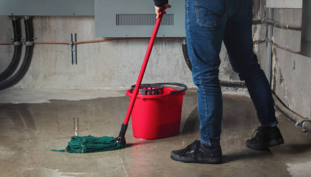 Best Flooded house restoration  in Mission, TX