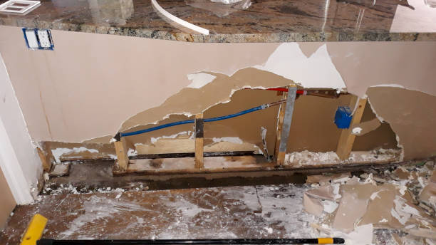 Best Local water damage restoration  in Mission, TX