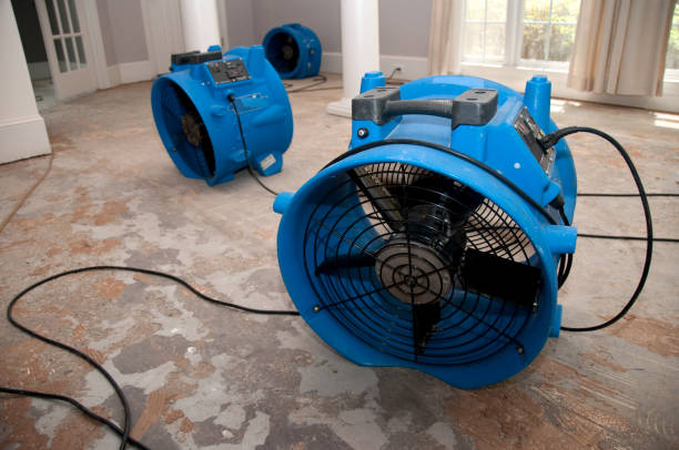 Best Ceiling water damage repair  in Mission, TX