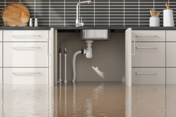 Best Flooded house restoration  in Mission, TX