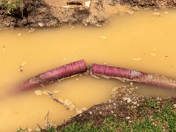 Best Basement water damage restoration  in Mission, TX
