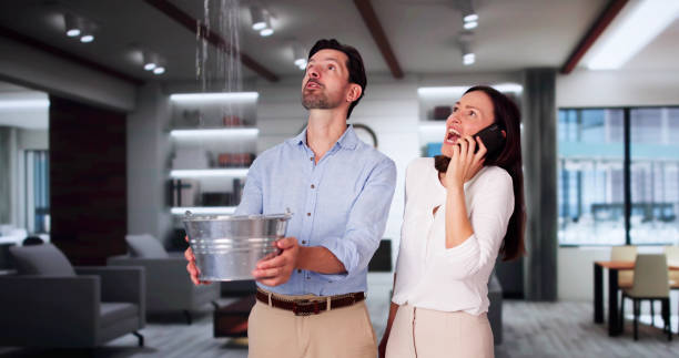 Best 24/7 water damage repair  in Mission, TX